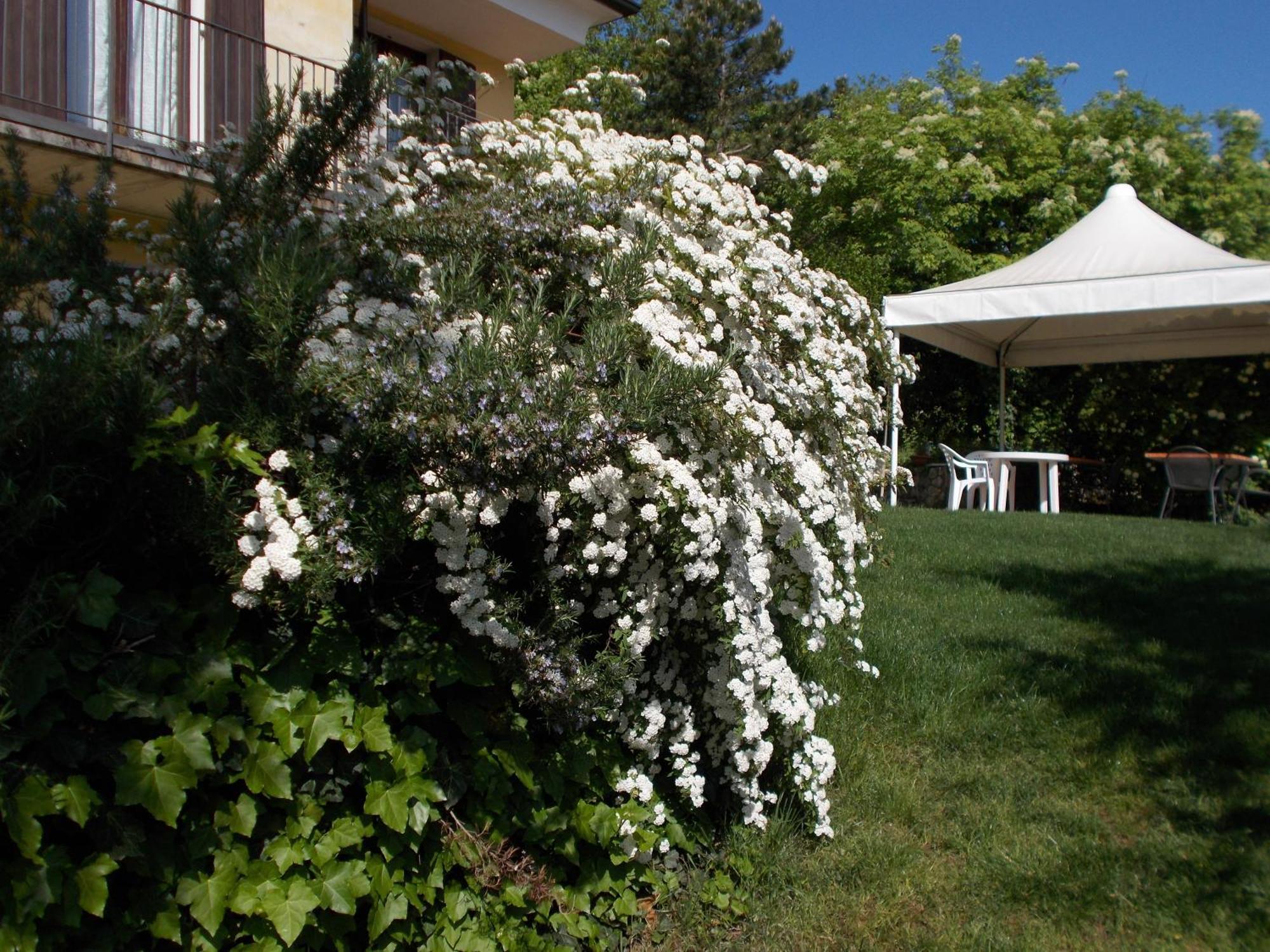نيغرار Montericco B&B المظهر الخارجي الصورة